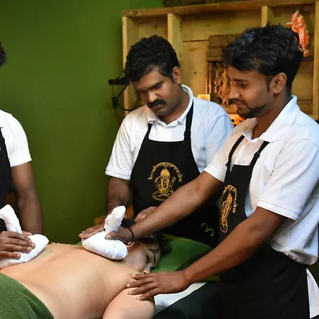 Brahmayurveda Pihenohaz Albertirsa