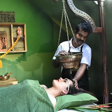 Brahmayurveda Pihenohaz 3* Albertirsa