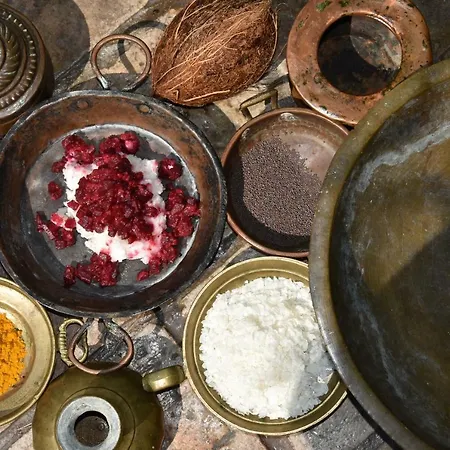 Guest house Brahmayurveda Pihenohaz